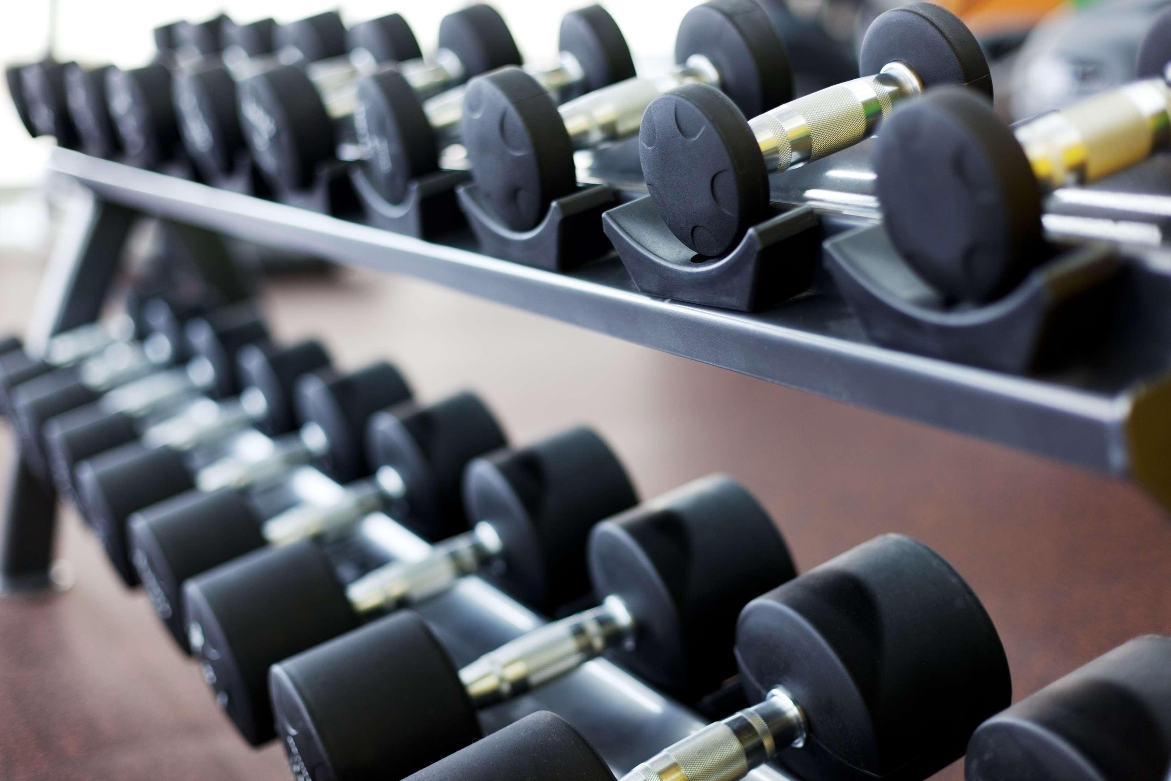 Ayla Grand Hotel Al Ain Exterior photo Dumbbells on a rack